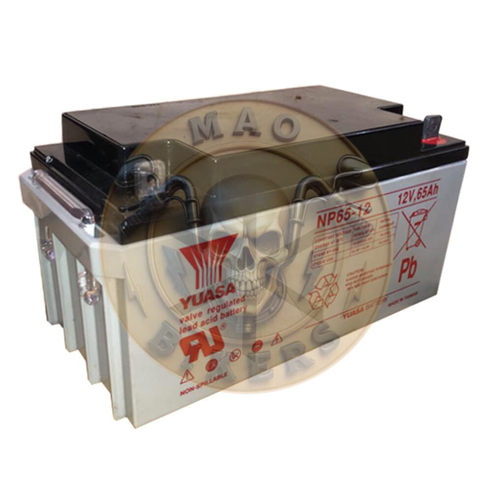Bateria Yuasa Np65- 12